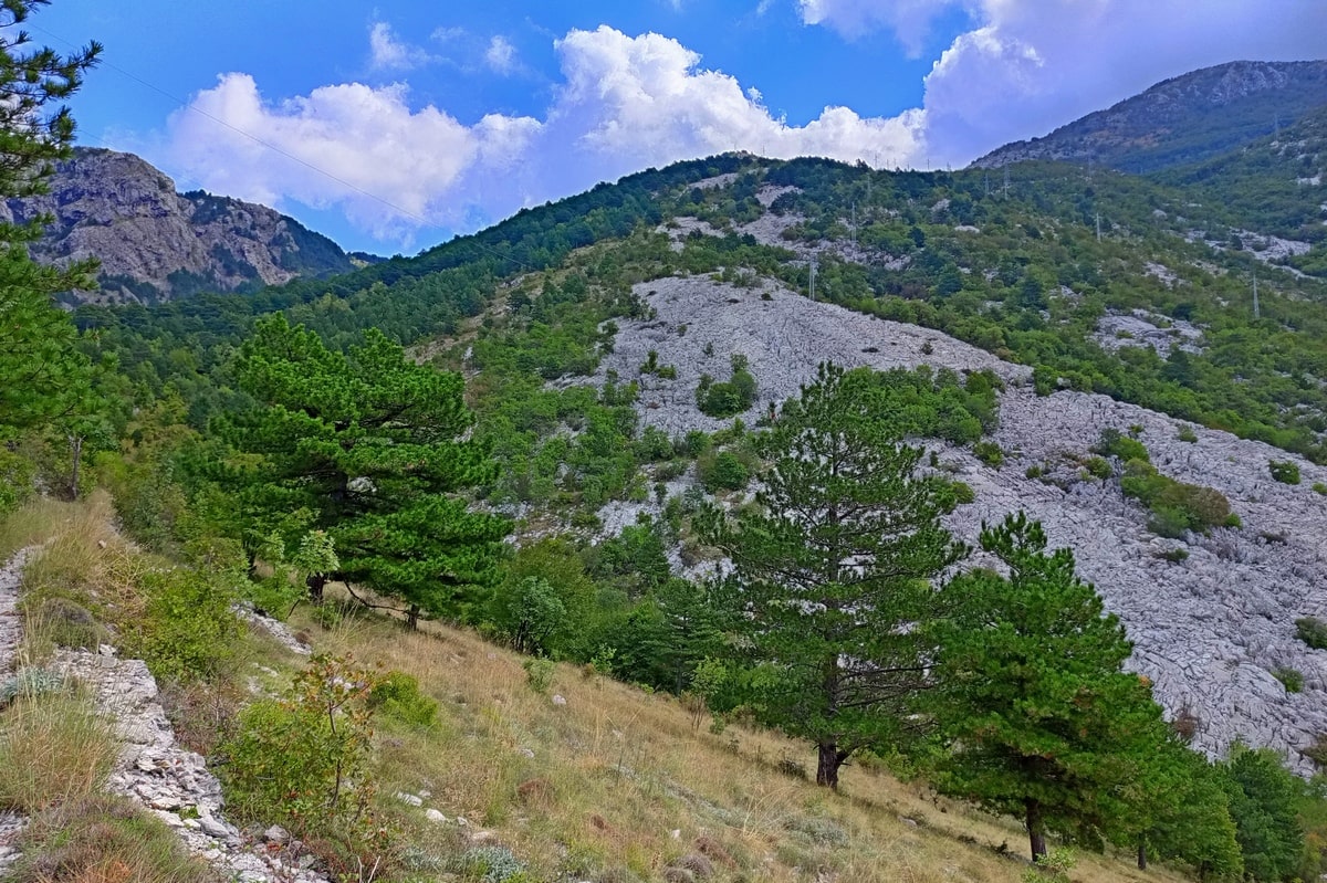 тур в черногорию